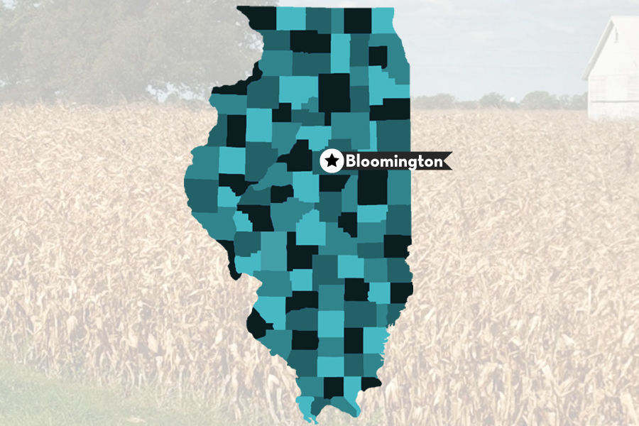 5. Bloomington